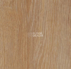 Кварцвиниловые полы Forbo Allura Click Pro 60295CL5 pure oak фото 1 | FLOORDEALER